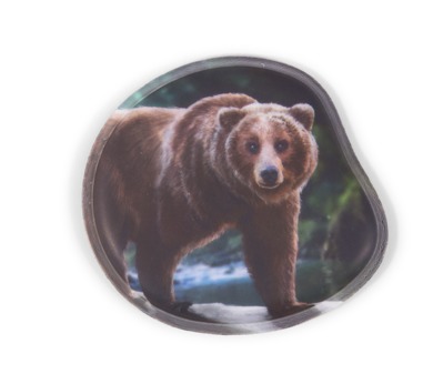 Kontur-Klettie Grizzly Bär KLE-CUS-003-053